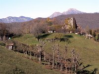 "IL GIRO DELLE CAMPANE" SUI MONTI INTORNO A ZOGNO (dom. 16 nov. 2008) - FOTOGALLERY